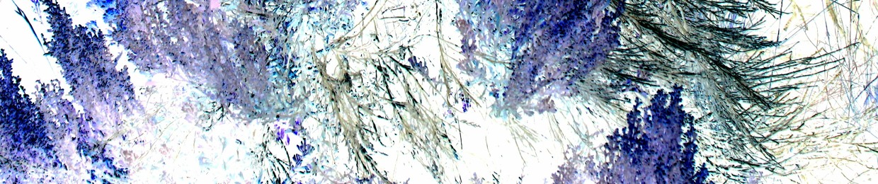foil