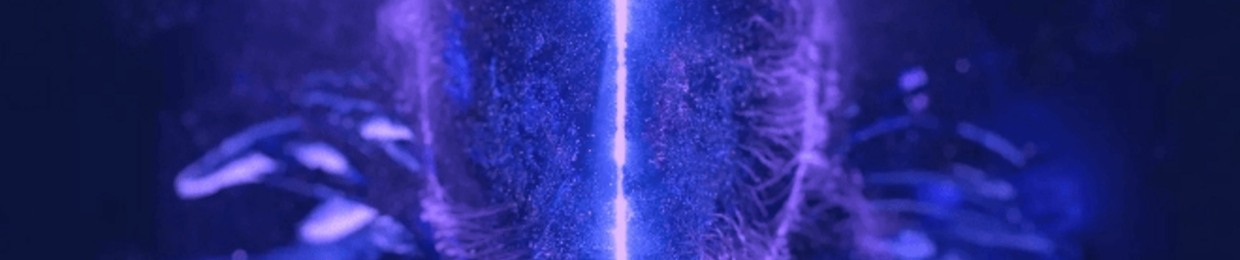 Project 19