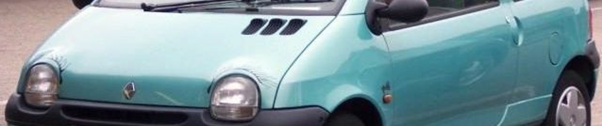 DJ  Renault Twingo Car Crash