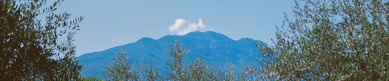 shea on air