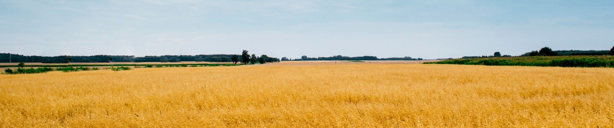 Mati Troglia