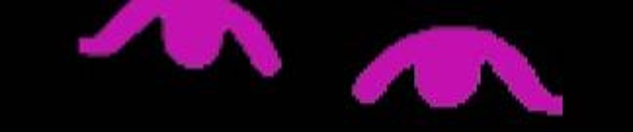 Void