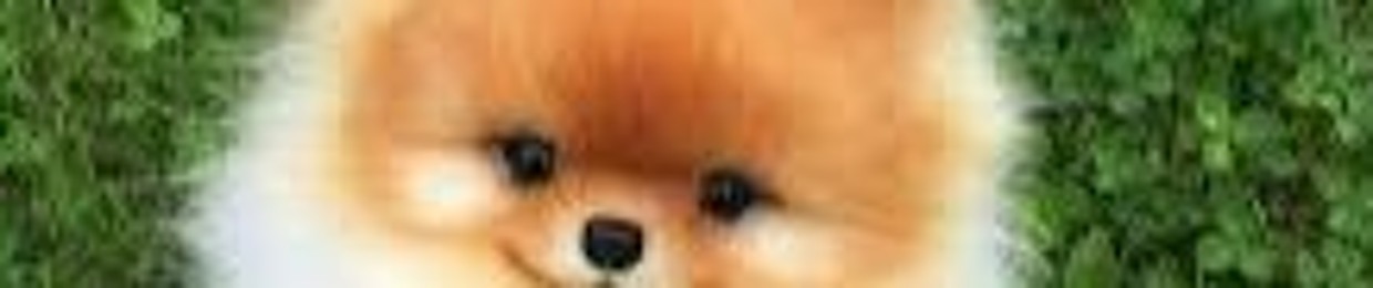 fuck