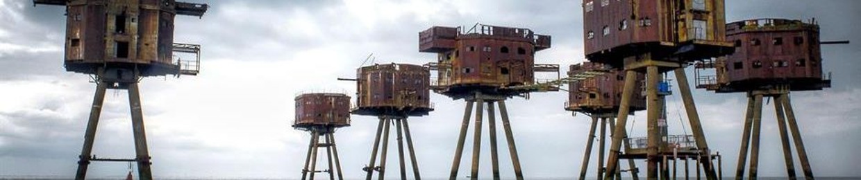 zibi171