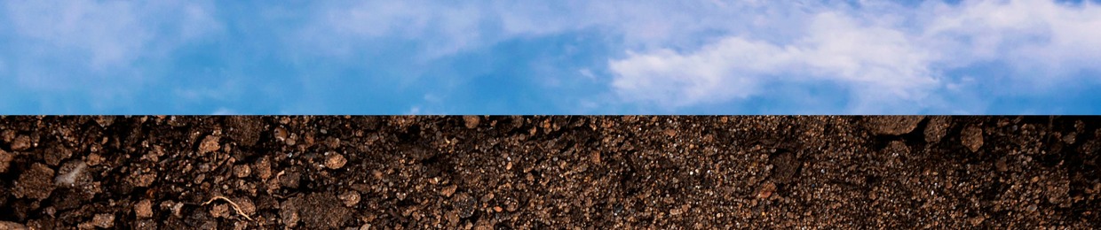 Fields of the Future