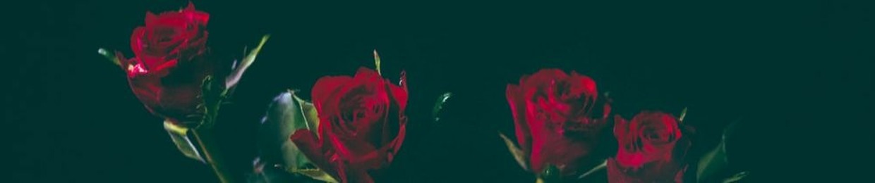 Friendly neighborhood doggo ;)