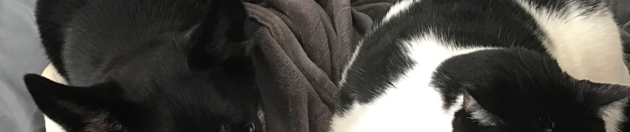 Blade da cat2
