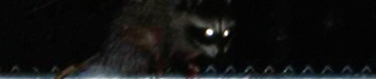 Raku