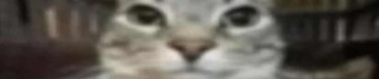 stinkler