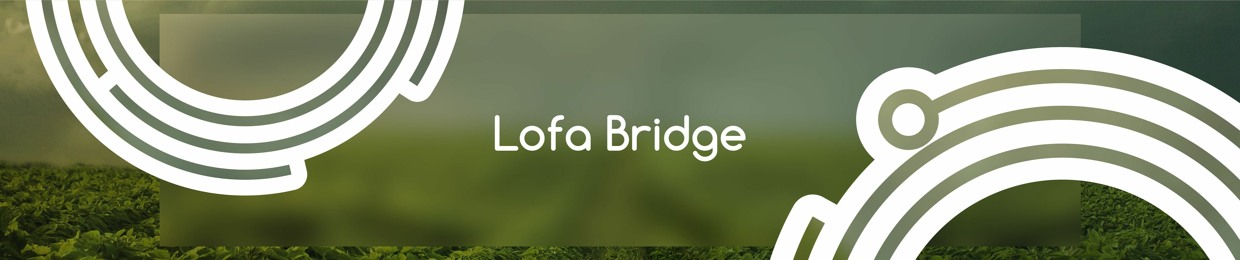 Lofa Bridge