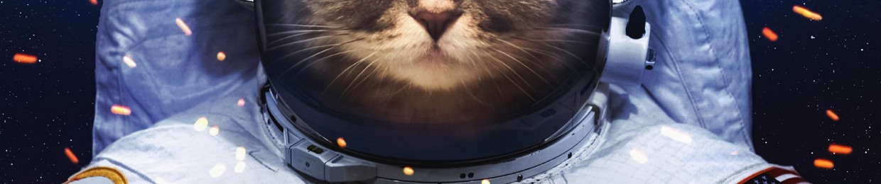 𝕆𝕒𝕂𝕋𝕖𝕂𝕂 [𝕎𝕋ℂ𝕃𝕒𝕟ℝ𝕖𝕔]