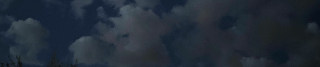 Philip E MacGregor17