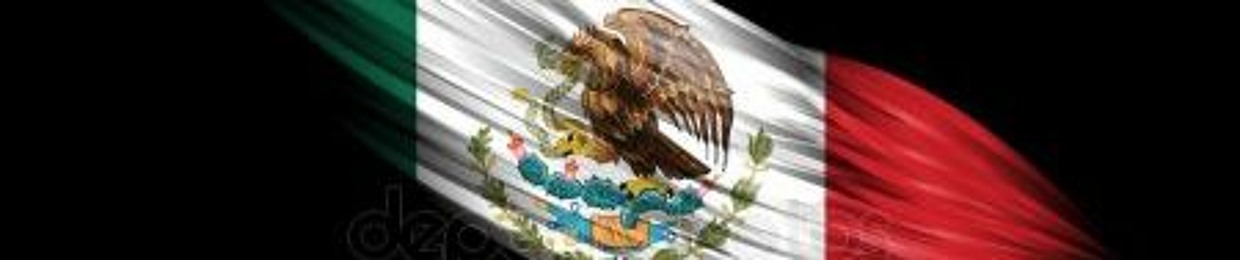 User 413005312