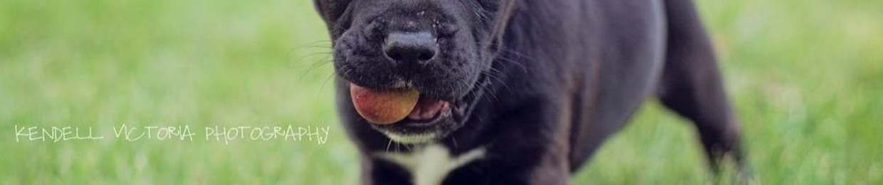 PeytonJustinLakeman1