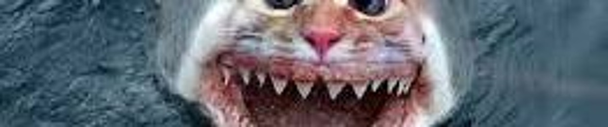 kevynbrendanmallette7