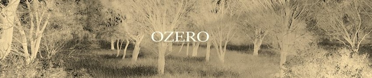 OZERO MUSIC AND ARTS