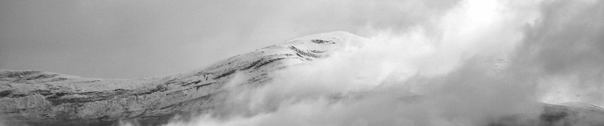 Notes From Your Wild Edges