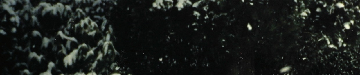 Lapwing