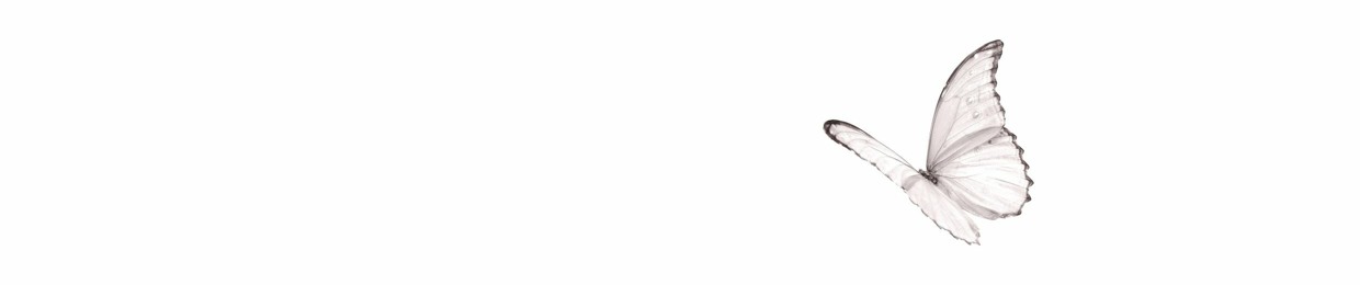 1,000,000 drones over Richmond