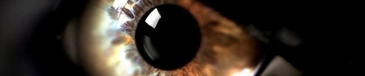 Joshua Jarred Bautista4