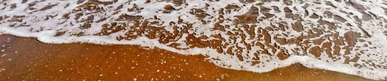 鯵野滑郎