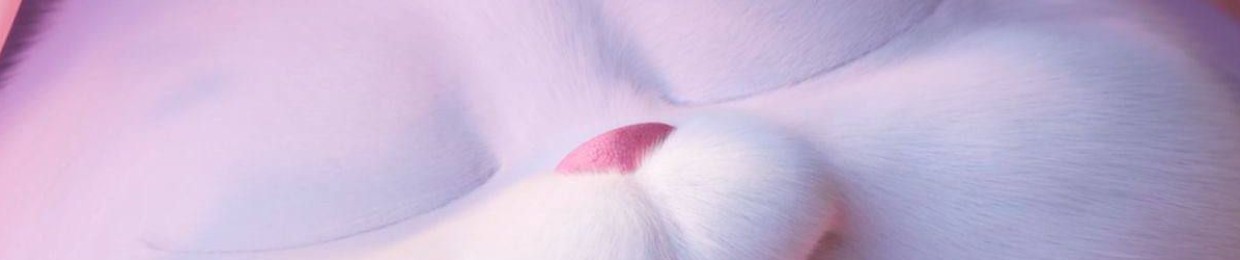 Nguyễn Đức Duy 🐰