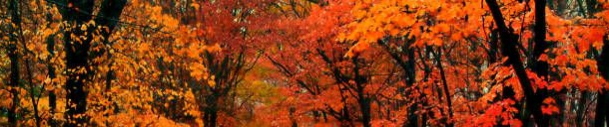 AutumnKing