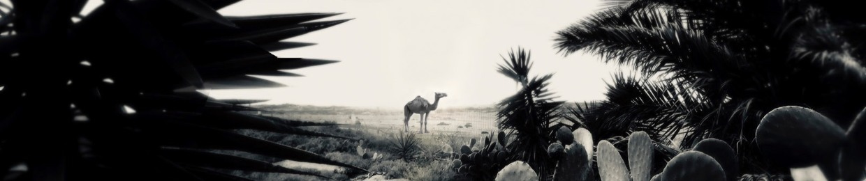 EL CABALLO