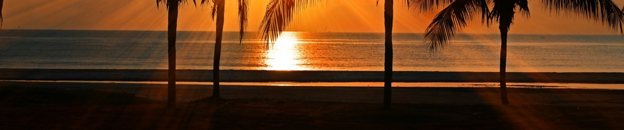 Sun Strings - Film Score, TV & Video Games