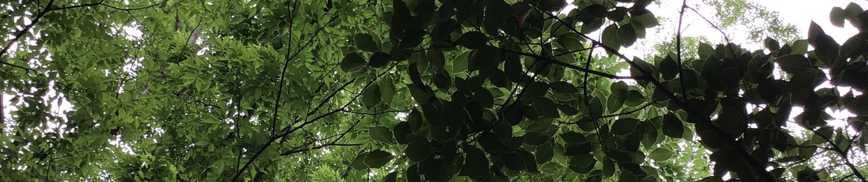 Love Green