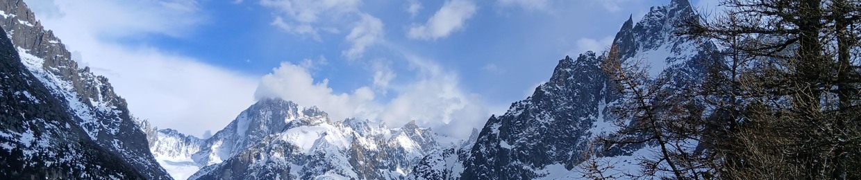 Le bouquetin dans la montagne