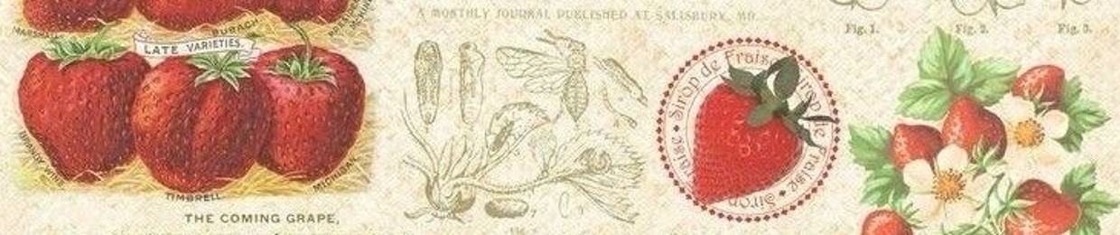 ꧁ Yaoyorozu Momo꧂