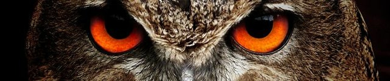 ππΆππΈππ π΅πΎπππ