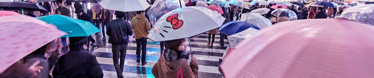 Ichiro Park Tanimoto