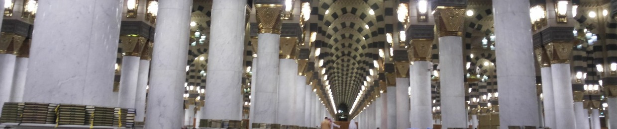 Yasser M Sengab