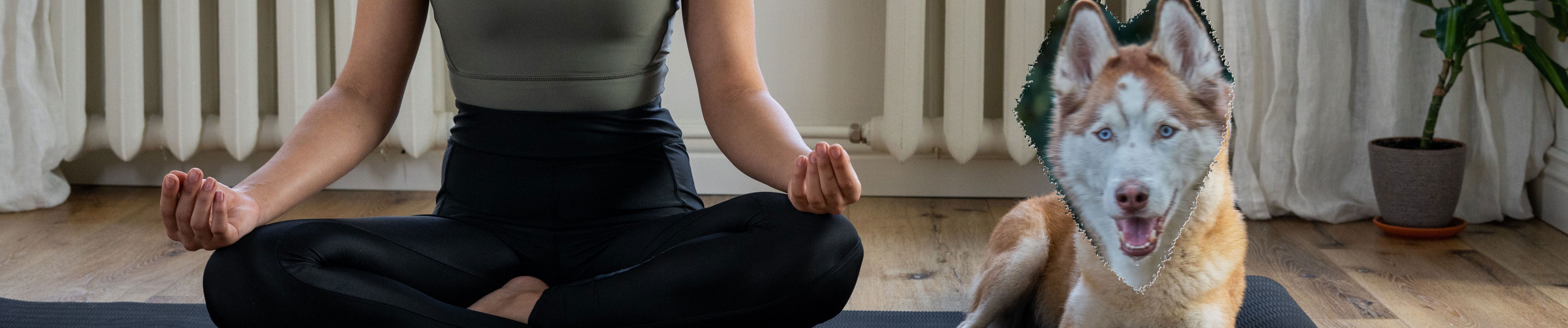 Stream Episode 2 Summerbody Vinyasa Yoga Flow Von Mady Morrison By No Bullshit Yogacast Podcast Listen Online For Free On Soundcloud