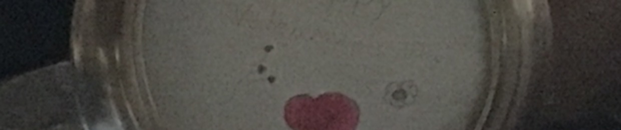 BB💥