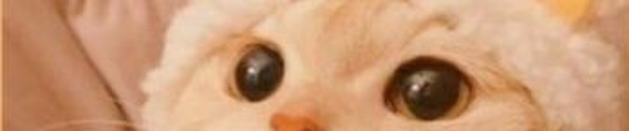 jjk