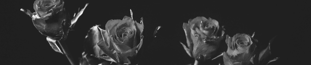 Noir Rose