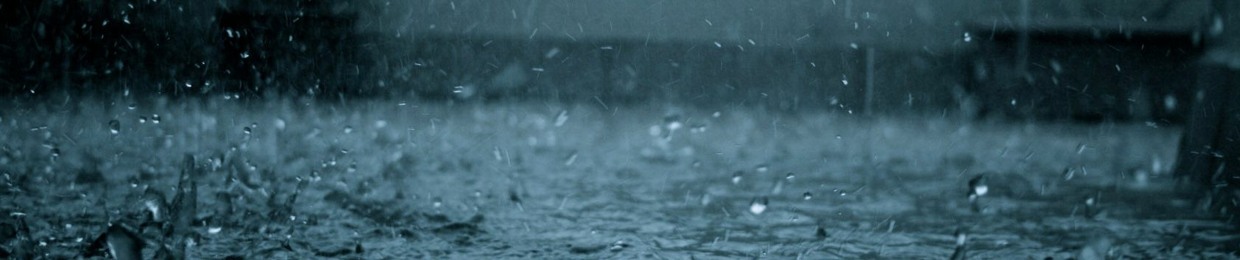 🇯🇵🌺🌹Jaylen🌹🌺🇯🇵