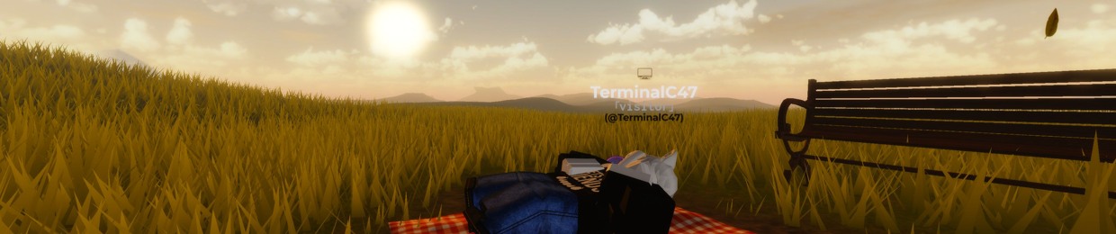 TerminalC47 Skyline