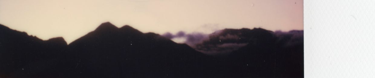 tsaoxm