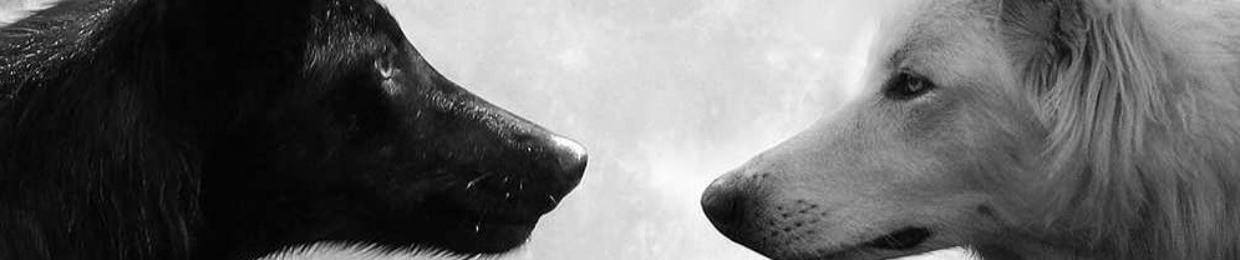 «~Wïlløw Äftøñ~»(Off)