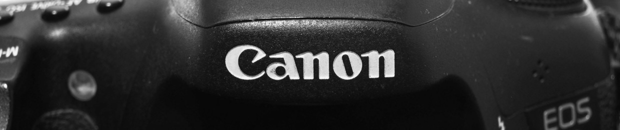 Tall Guy With A Camera