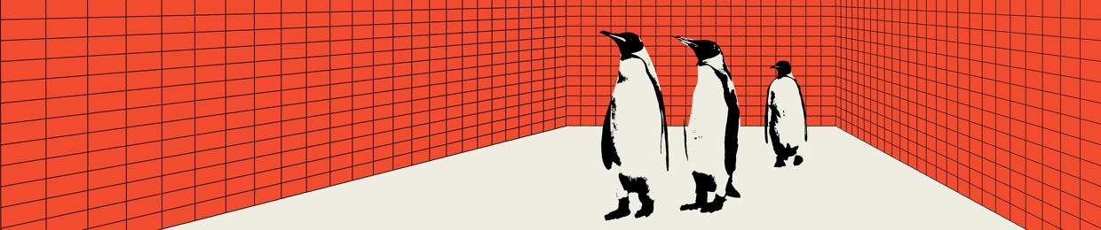 Pinguin Society Records