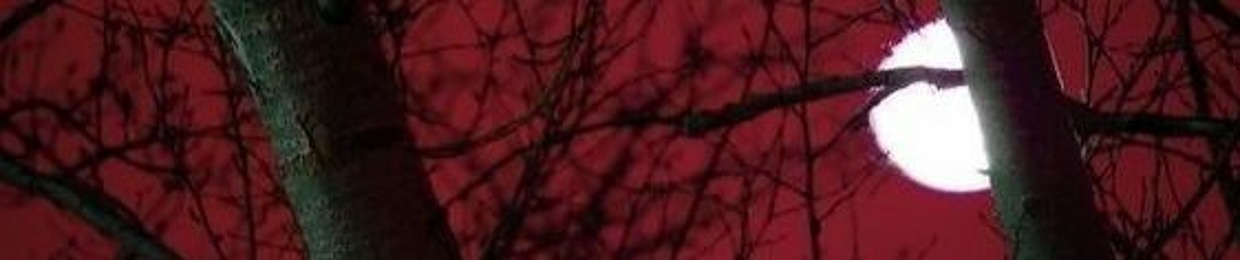 n6ctism_˖°🦇ִ ࣪𖤐