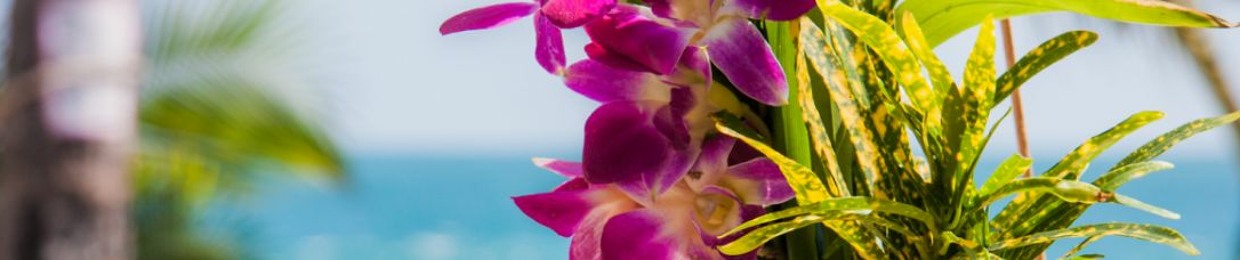 Ibiza Summer Mix 2022  Best Of Tropical