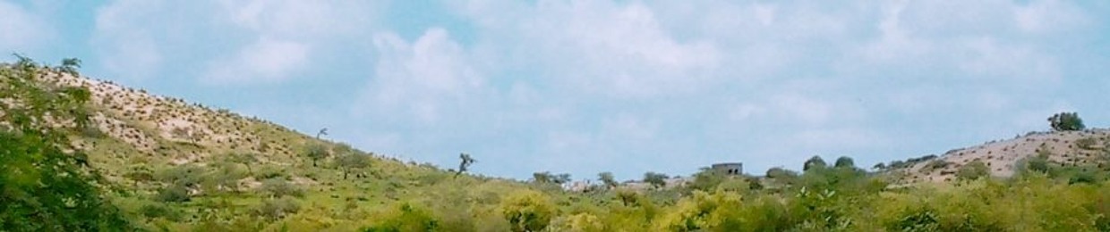 Adil