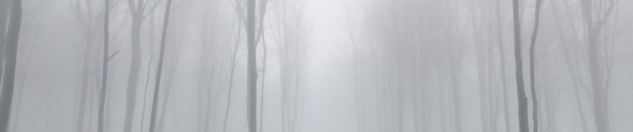 NekoYurei [ネコユレイ]