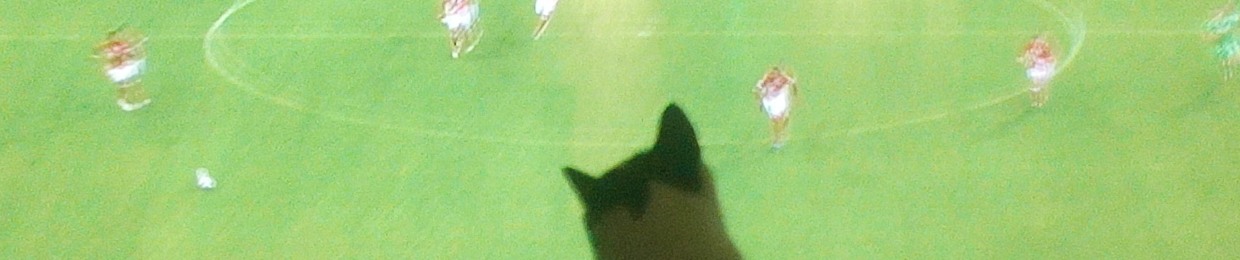 Superbony the Cat